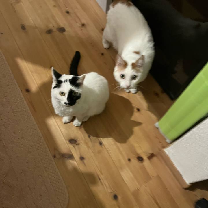 12b828b7 425f 438f b68f baaf5482f3c1 1763136801951