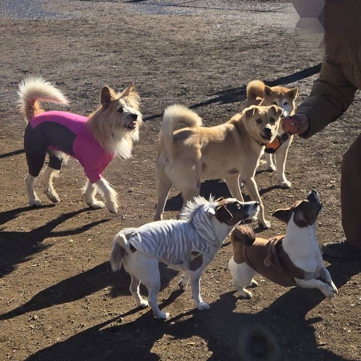 12b82ad3 0f3d 48f3 8786 4c733193a83d 1767501582989