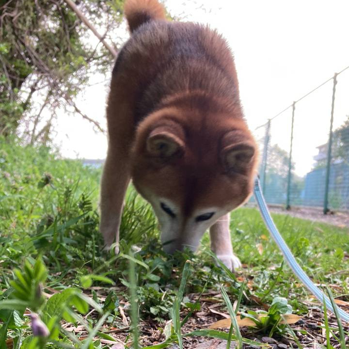 12b83510 a3d7 4812 a720 013cc4983652 1744447980352