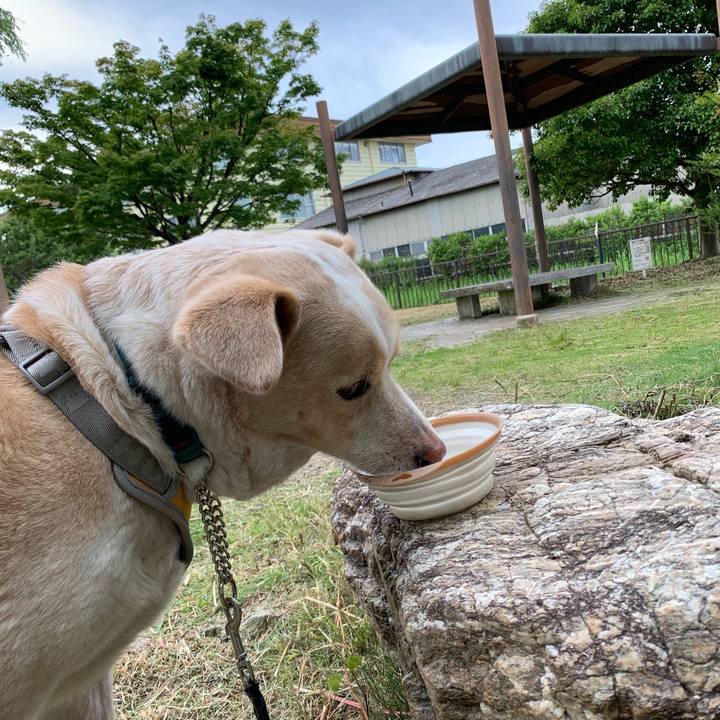 12b847d7 f591 406a 91a6 feaef516b97a 1559277901354