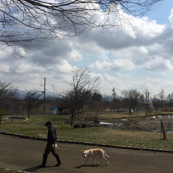 12b878c9 5a46 4c93 8fc0 898938ef5354 1548213040068