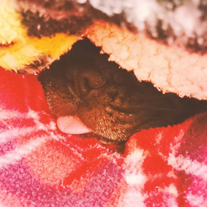 12b8bdc1 99de 4f25 a95e 45c508f80417 1518442088022