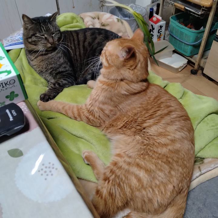 12b8f17a dee9 4660 92d6 60ed5ecf5f7a 1675844085459