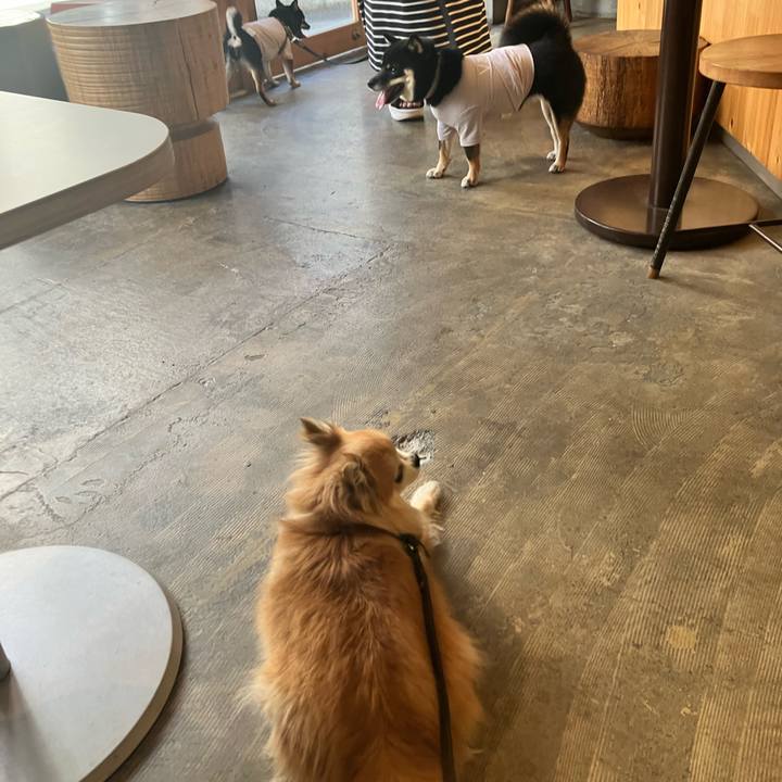 12b90660 aac6 4cf6 a48e cca25152c148 1752906434148