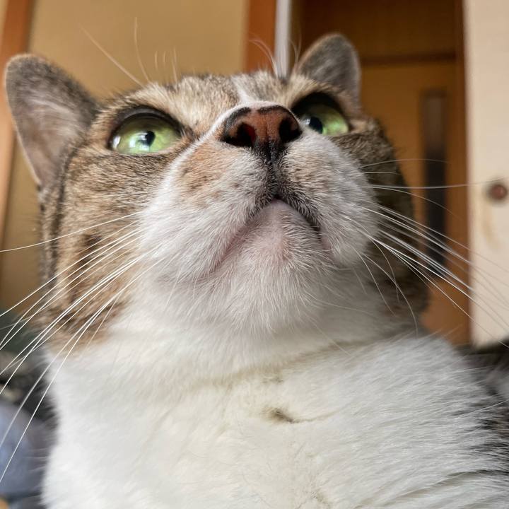 12b93394 4ef6 4f4c 8151 8b25603a6970 1635300934113