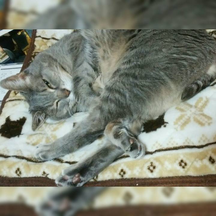 12b95e28 d2d0 4e91 b6c0 0ff47f9b03a6 1586954390029