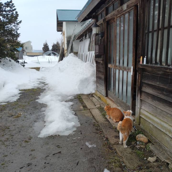 12b97849 d297 4d5a bf35 4f7c2cbe8dd5 1771031996048