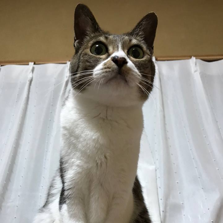 12b98e88 b951 4fa0 9053 048e41510e4d 1524964748302