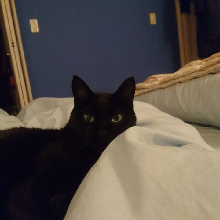 12b9a238 e911 4413 a256 91c1b10c0728 1527543143657