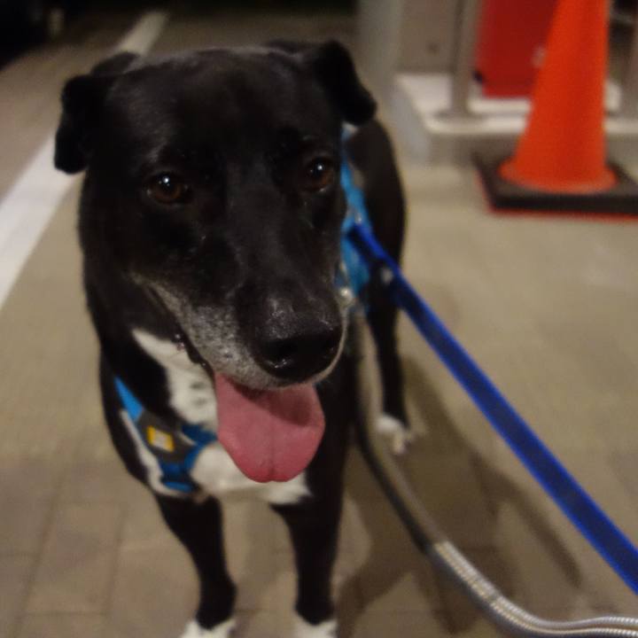 12ba1012 15fb 4a25 84f3 69e70b30713e 1695467407315