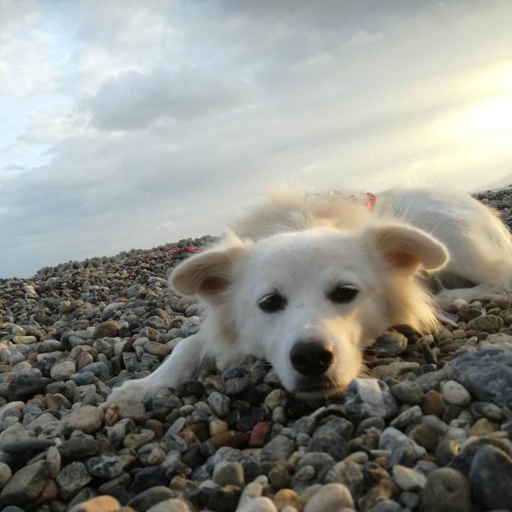 12ba48df 4de4 445f a77f 87753dcb4cf7 1508749282880