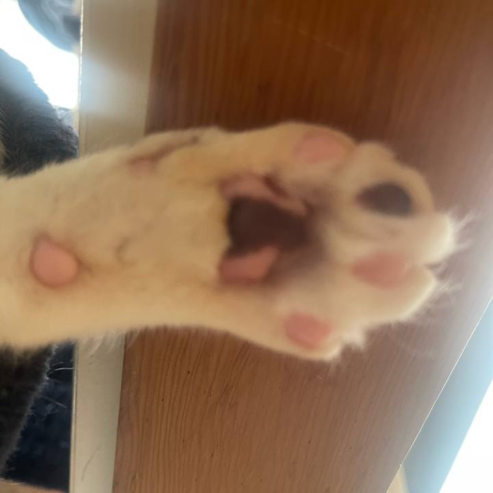 12ba9384 4ea4 4a0a ac6a 5152ea2c3ccb 1740363944573