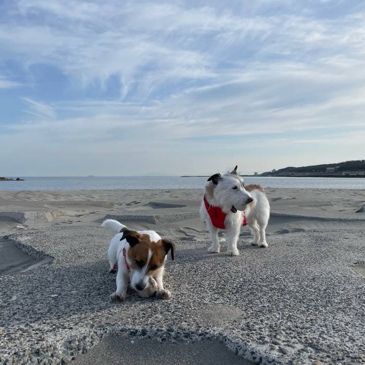 12baf5b8 525a 47f4 a1df ce43267ed7b9 1679528458448