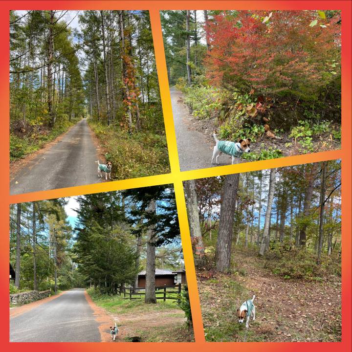 12bafc4a bf32 484b a3a0 8f1306886c30 1633859128359