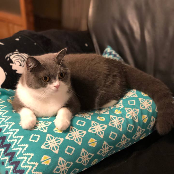 12bb0a9d 88a8 47fb b79b 234ac74a3f24 1561983442687