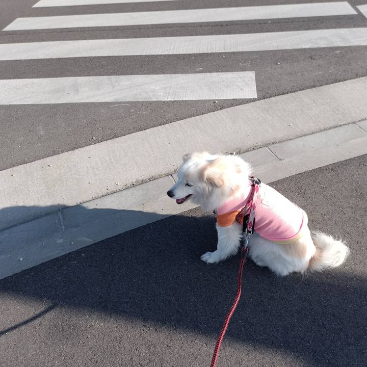 12bb6fde 5cb6 4411 a6d7 2093d0fa60e0 1678005686534