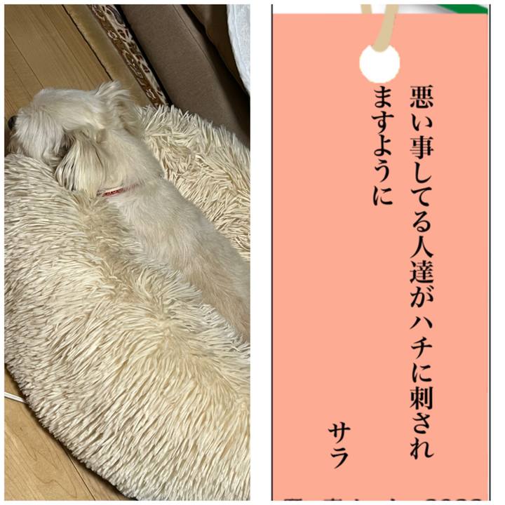 12bba209 984f 4f1e af04 ca5606e9e4b2 1657195824620