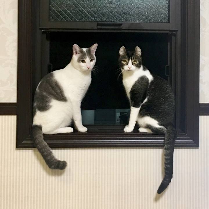 12bba6d1 b769 4c83 afdb dc199f2b18d2 1527768337147