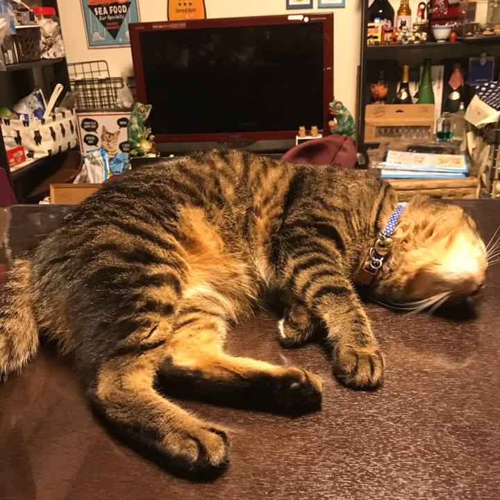 12bba7f2 5c3d 49ff 9487 4eed1c7f304d 1637499470231