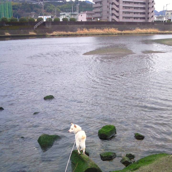 12bbbb93 d232 46f0 bddf 69683ba2b3cb 1648291894030