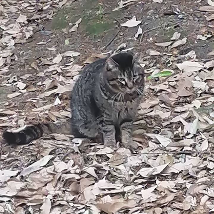 12bc1cae b873 4669 ad03 ce3da64bd816 1619213642786