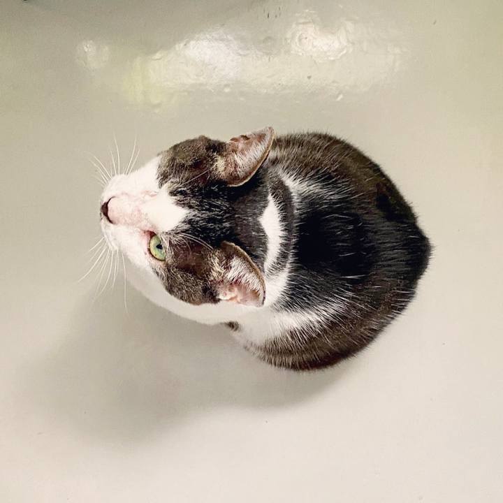 12bc561f f91f 4dbb 9b3a d53ab4c548b1 1596173218251