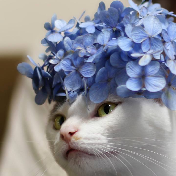 12bc70ff 8e2b 42f5 8634 ab22b2f5125f 1563624330110