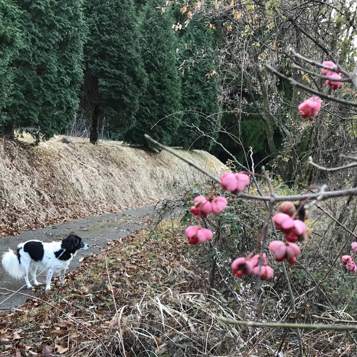 12bc8949 89ce 4615 96dc 8d62352405ea 1512127836130