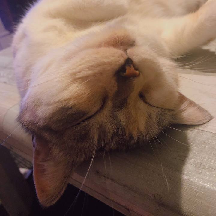 12bcafe0 21c7 461b ac9c c0fb5bec3fa5 1596842620627