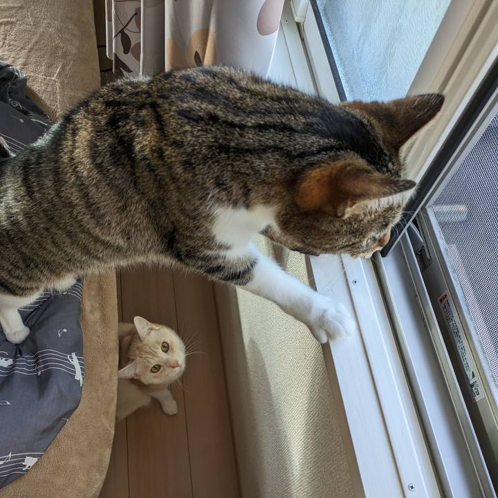 12bce5af 9596 469c b203 7e365e9c5174 1702426668578