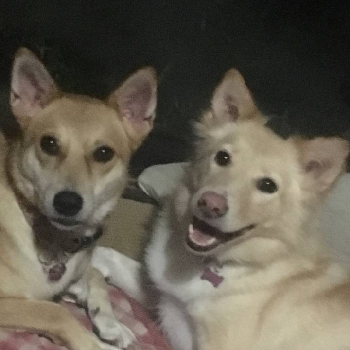 12bcf119 e57b 43b3 8931 d0973632308c 1536184233026