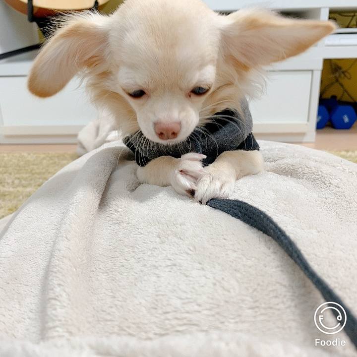 12bd189d 2eb5 4e9b b464 1ea42dac79d7 1603090793313