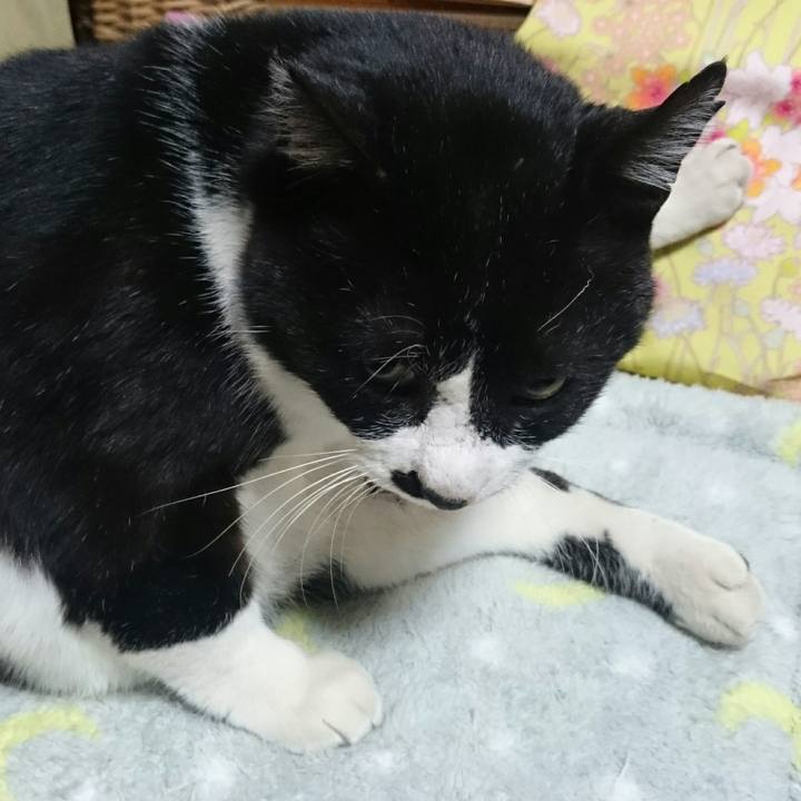 12bd2d37 5003 4171 adc0 1ab8d74aba26 1516964859560