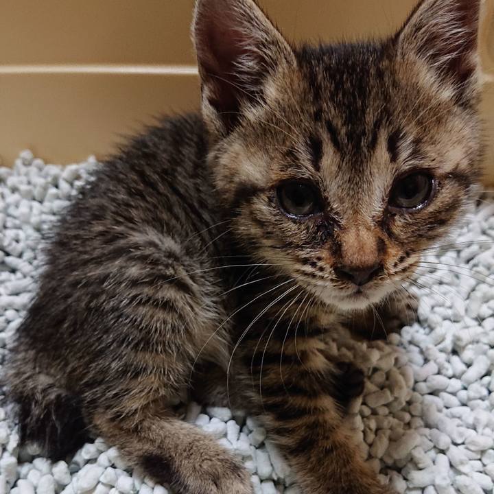 12bd388f bd44 4530 b086 79718ccee2c8 1558097736032