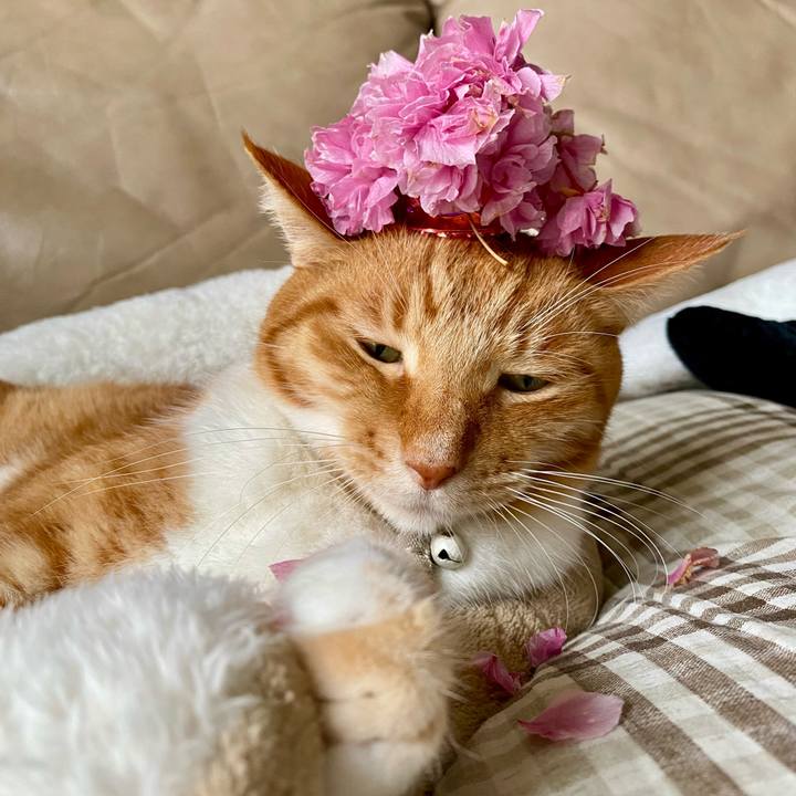 12bd3a23 6d67 444a 9b22 949ab30aa129 1745490587998