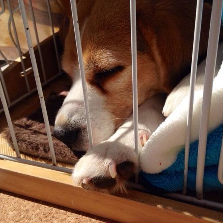 12bd550f 7a1d 4141 93f4 e4117d46ecc3 1739684298010