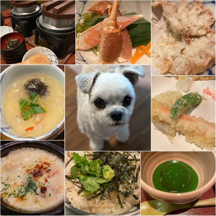 12bd646e eacc 4299 9d78 b3a1cb58dc68 1578034765634