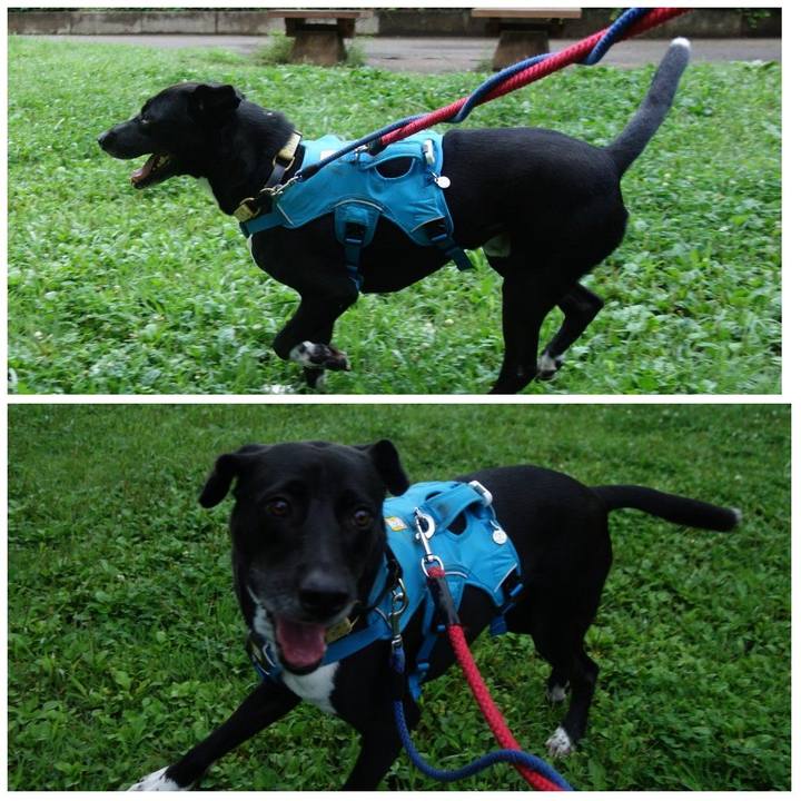 12bd7e59 7647 4010 a9b2 6cf62cd4674c 1625875510009