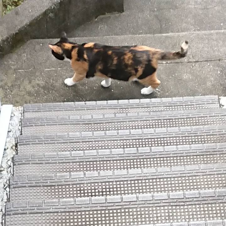 12bd8107 3c6d 4035 a8fd c98db1732fb0 1596504795356