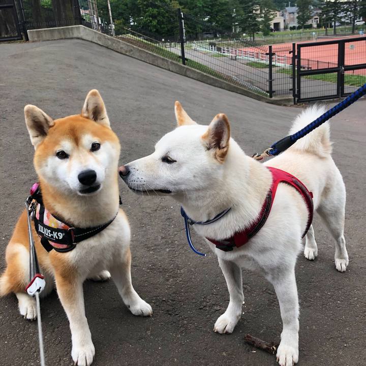 12bd9011 e837 4a33 ad46 8941a4818969 1563525416494