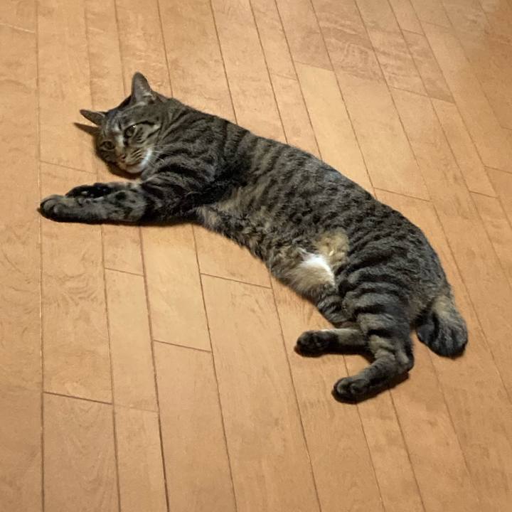 12bdbcf4 a44e 41e3 ae67 c9a92185e0cf 1656320392041