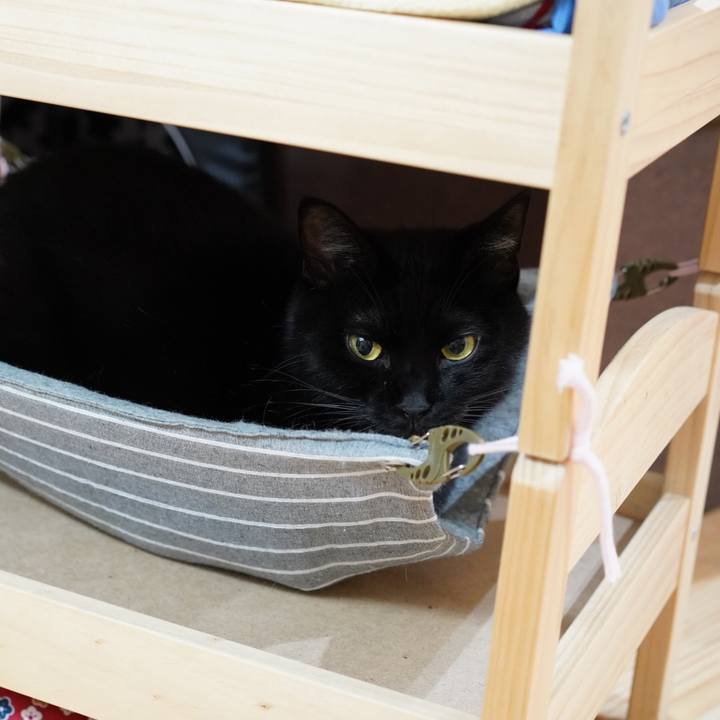 12bdeef4 6200 4d2c a6fd 04b3e0f85358 1572964480641