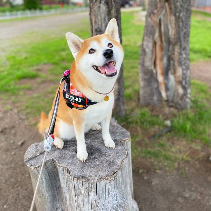 12be0015 a182 4be0 a01d 212f2004b3f7 1629969965200