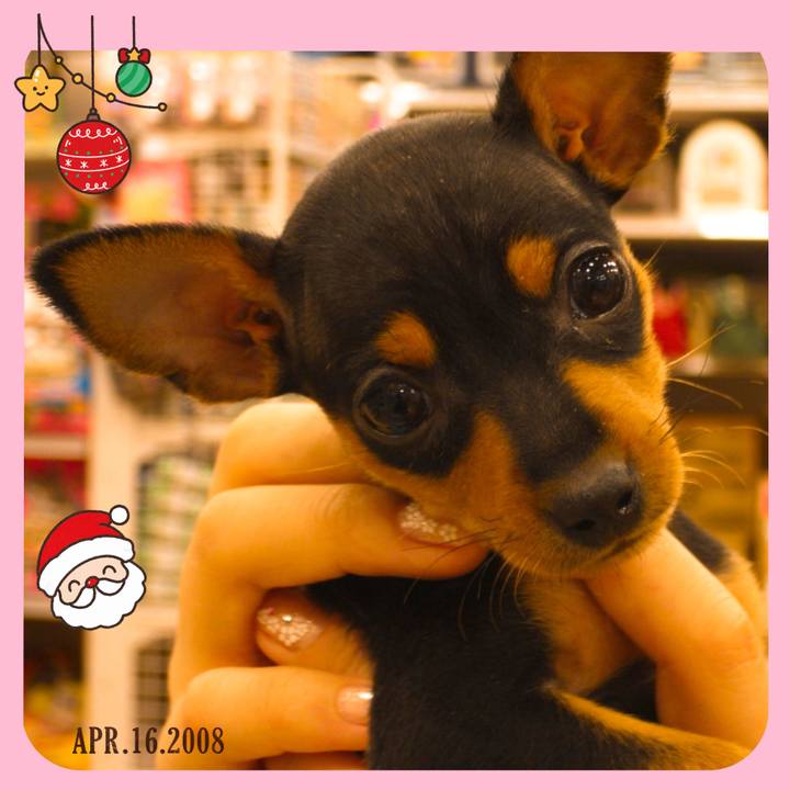 12be256b 66a0 4b0b beba a0c5b9725133 1766590143617