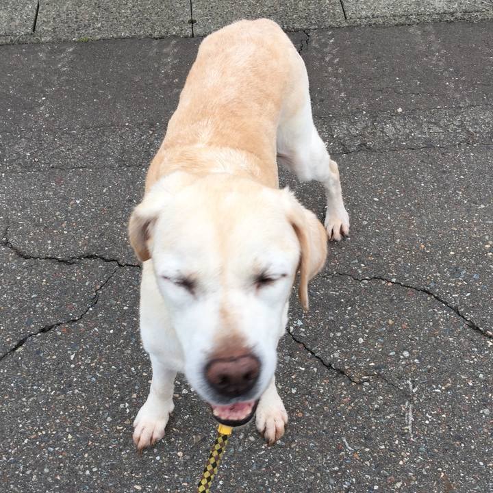 12be68c9 2812 4af4 99ca 9bc19215ad44 1537050061371