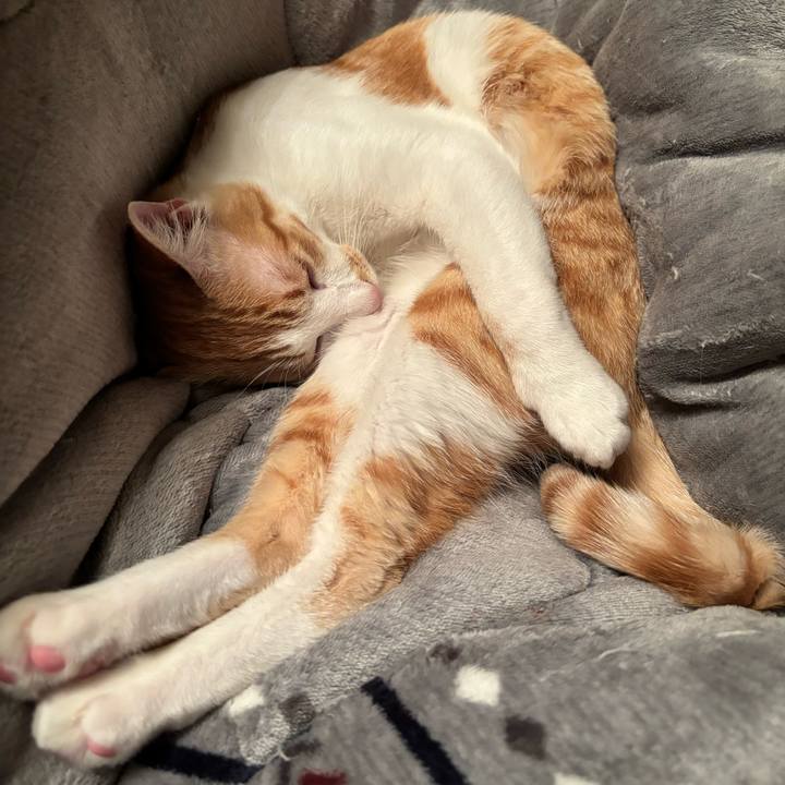 12be7329 6871 485d bea5 84122795d38c 1708238479999