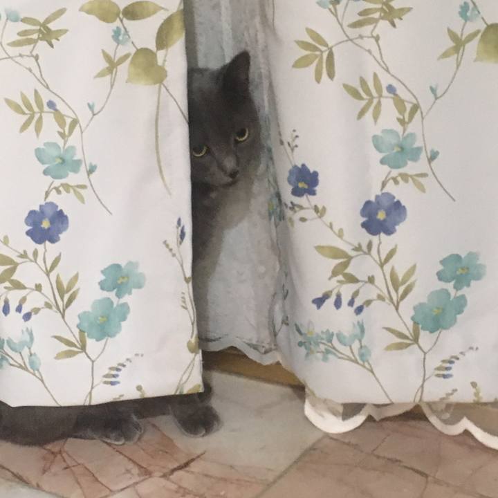 12be7574 874f 4c4b a36d 9fafca15642c 1661474985094