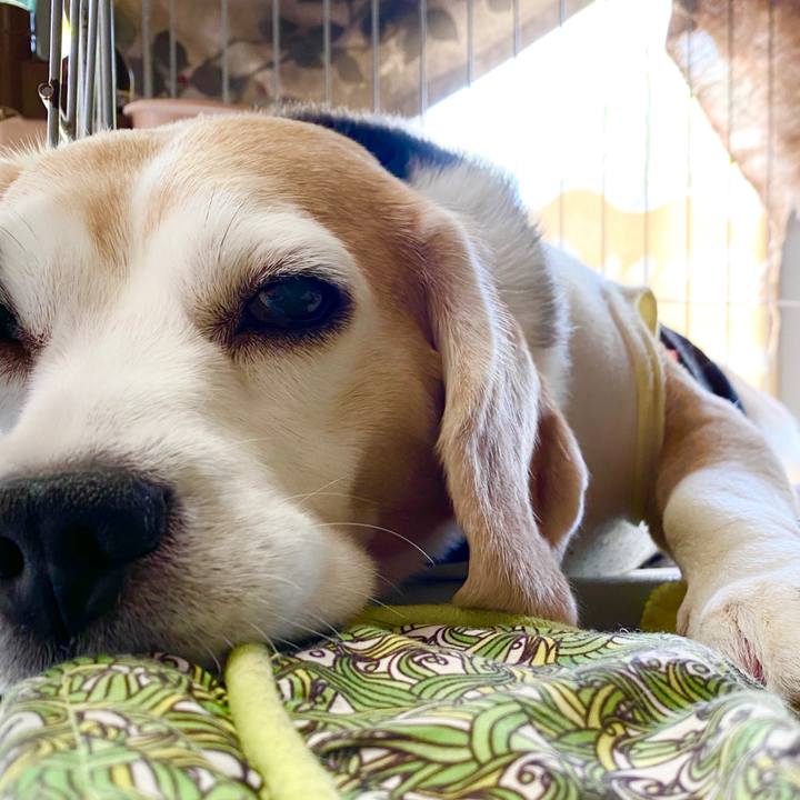 12be769d 4172 4f4b b6d4 4eb7cd748968 1591588179316