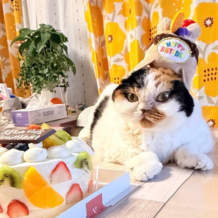 12be7cea d66f 42cb a8d4 f1b9dfd94f76 1761057137492