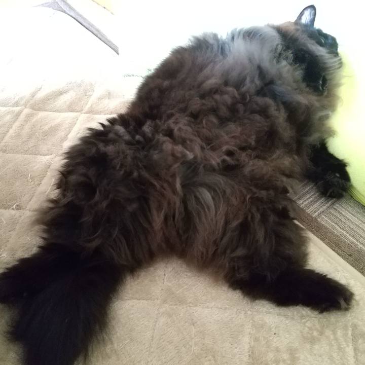 12be8295 5b31 484e 9780 070edad5de87 1673396573393